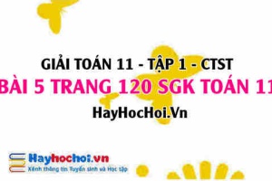 Giải bài 5 trang 120 Toán 11 tập 1 SGK Chân trời sáng tạo
